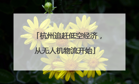 杭州追赶低空经济，从无人机物流开始