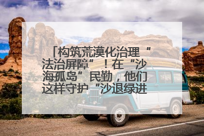 构筑荒漠化治理“法治屏障”！在“沙海孤岛”民勤，他们这样守护“沙退绿进”的生态奇迹