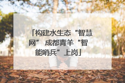 构建水生态“智慧网” 成都青羊“智能哨兵”上岗