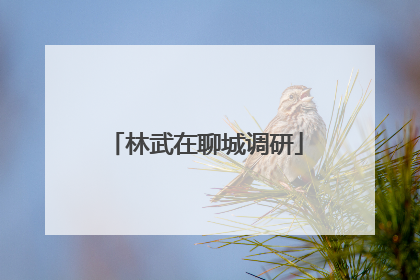林武在聊城调研