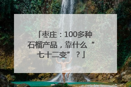 枣庄：100多种石榴产品，靠什么“七十二变”？