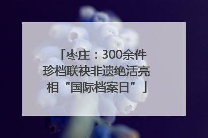 枣庄：300余件珍档联袂非遗绝活亮相“国际档案日”