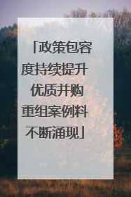 政策包容度持续提升 优质并购重组案例料不断涌现