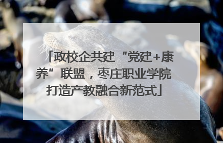 政校企共建“党建+康养”联盟，枣庄职业学院打造产教融合新范式