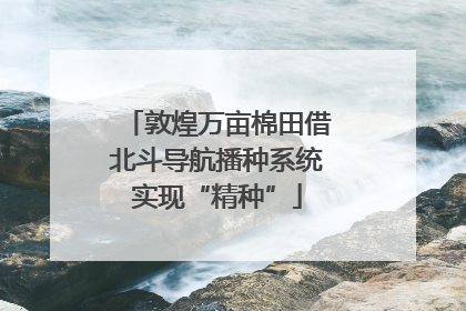 敦煌万亩棉田借北斗导航播种系统实现“精种”