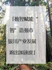 数智赋能“智”造强市 银川产业发展跑出加速度