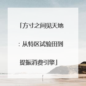 方寸之间见天地：从特区试验田到提振消费引擎