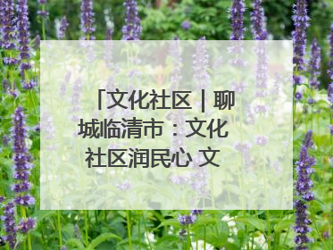 文化社区｜聊城临清市：文化社区润民心 文明新风满临清