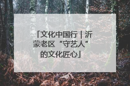 文化中国行｜沂蒙老区“守艺人”的文化匠心