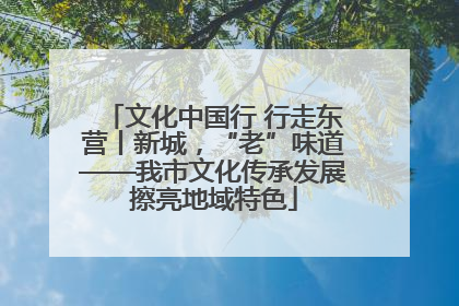 文化中国行 行走东营丨新城，“老”味道——我市文化传承发展擦亮地域特色