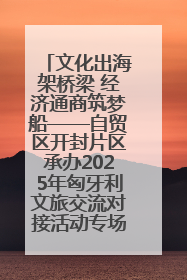 文化出海架桥梁 经济通商筑梦船——自贸区开封片区承办2025年匈牙利文旅交流对接活动专场