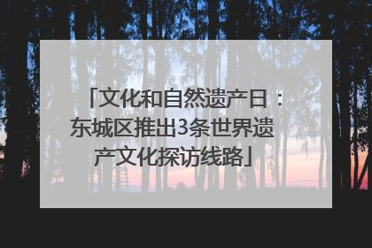 文化和自然遗产日：东城区推出3条世界遗产文化探访线路