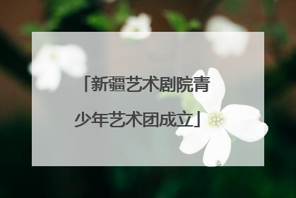 新疆艺术剧院青少年艺术团成立
