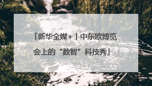 新华全媒+丨中东欧博览会上的“数智”科技秀