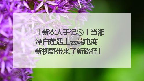 新农人手记⑤丨当湘潭白莲遇上云端电商 新视野带来了新路径