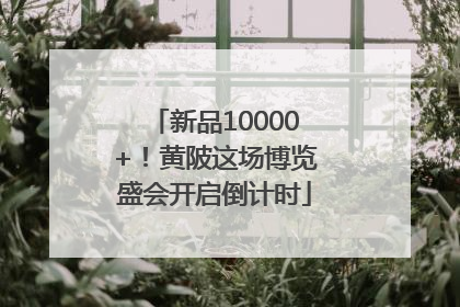 新品10000+！黄陂这场博览盛会开启倒计时