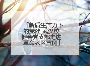 新质生产力下的党建 武汉校促会党支部走进革命老区黄冈