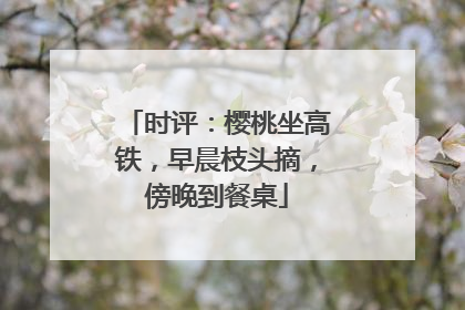 时评：樱桃坐高铁，早晨枝头摘，傍晚到餐桌