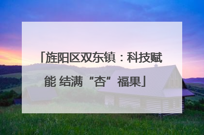 旌阳区双东镇：科技赋能 结满“杏”福果