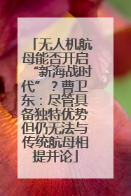 无人机航母能否开启“新海战时代”？曹卫东：尽管具备独特优势但仍无法与传统航母相提并论