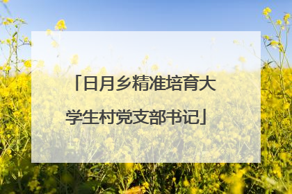 日月乡精准培育大学生村党支部书记