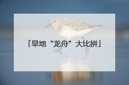 旱地“龙舟”大比拼