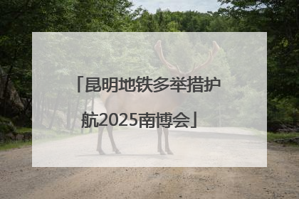 昆明地铁多举措护航2025南博会