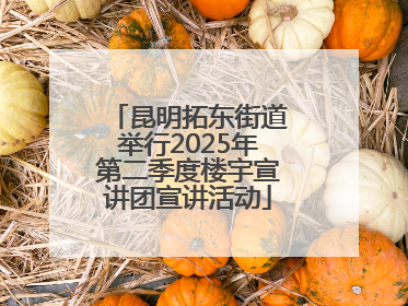 昆明拓东街道举行2025年第二季度楼宇宣讲团宣讲活动