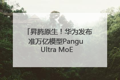 昇腾原生！华为发布准万亿模型Pangu Ultra MoE模型架构和训练细节