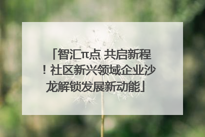 智汇π点 共启新程！社区新兴领域企业沙龙解锁发展新动能