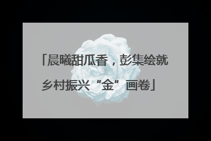 晨曦甜瓜香，彭集绘就乡村振兴“金”画卷