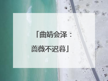 曲靖会泽：蔷薇不迟暮