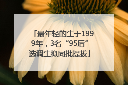 最年轻的生于1999年，3名“95后”选调生拟同批提拔