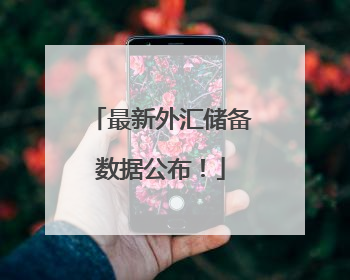 最新外汇储备数据公布！
