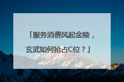 服务消费风起金陵，玄武如何抢占C位？