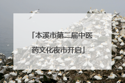 本溪市第二届中医药文化夜市开启