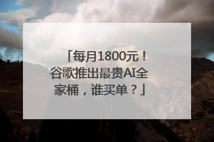 每月1800元！谷歌推出最贵AI全家桶，谁买单？