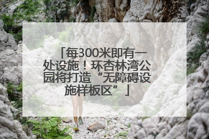每300米即有一处设施！环杏林湾公园将打造“无障碍设施样板区”