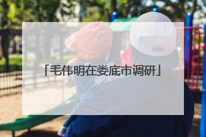 毛伟明在娄底市调研