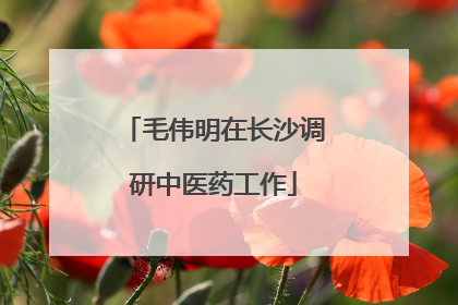 毛伟明在长沙调研中医药工作