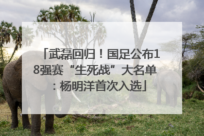 武磊回归！国足公布18强赛“生死战”大名单：杨明洋首次入选