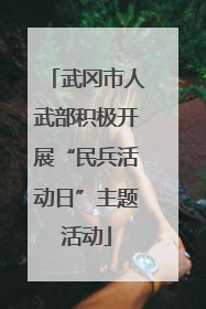 武冈市人武部积极开展“民兵活动日”主题活动