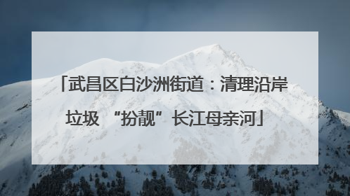武昌区白沙洲街道：清理沿岸垃圾 “扮靓”长江母亲河
