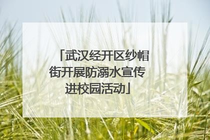 武汉经开区纱帽街开展防溺水宣传进校园活动