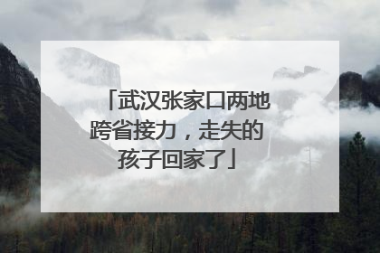 武汉张家口两地跨省接力，走失的孩子回家了