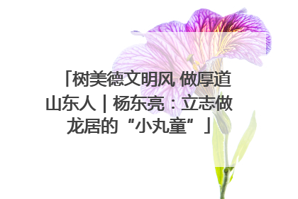 树美德文明风 做厚道山东人｜杨东亮：立志做龙居的“小丸童”