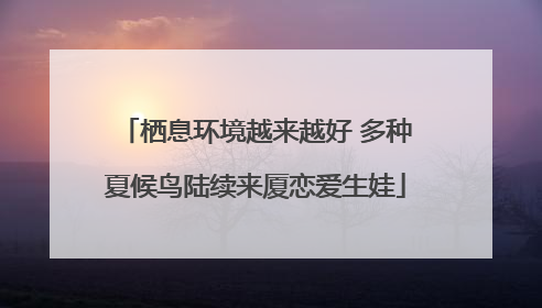 栖息环境越来越好 多种夏候鸟陆续来厦恋爱生娃