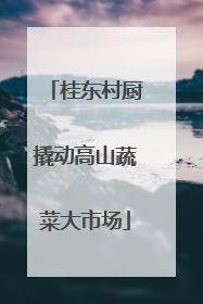 桂东村厨撬动高山蔬菜大市场