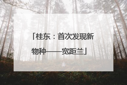 桂东：首次发现新物种——宽距兰