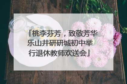 桃李芬芳，致敬芳华 乐山井研研城初中举行退休教师欢送会